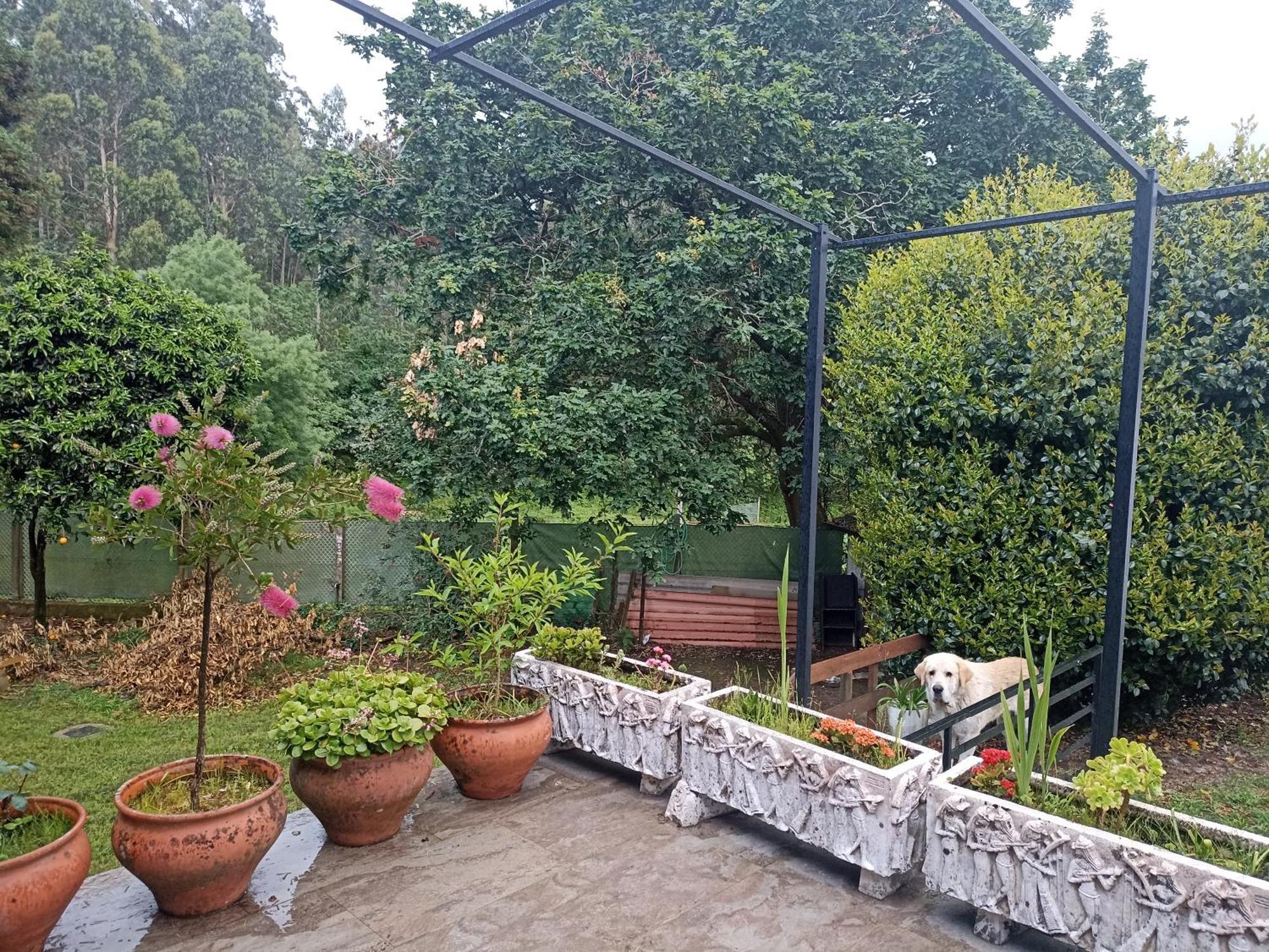 Ferienhaus Monte Do Castro